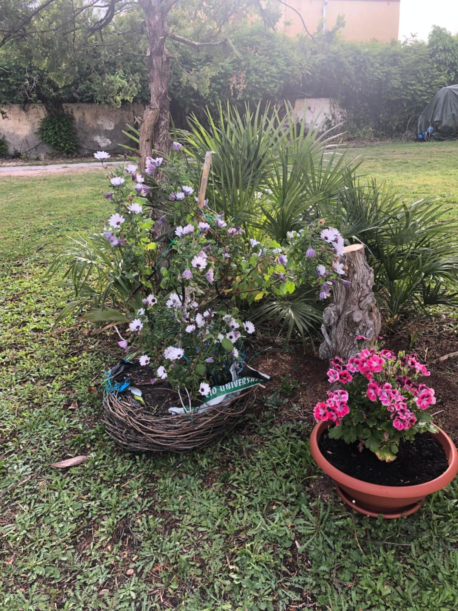 La Lantana Nuova Bed & Breakfast Flumini di Quartu Bagian luar foto